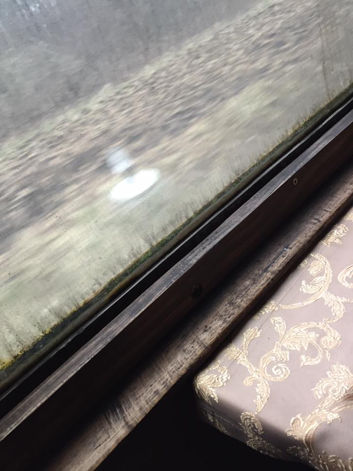 В українському потязі знайшли "зелений куточок" - фото 2